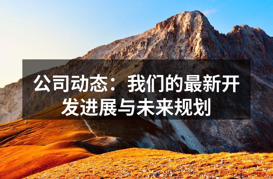 团队在会议室讨论最新项目进展