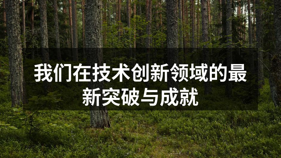 我们在技术创新领域的最新突破与成就