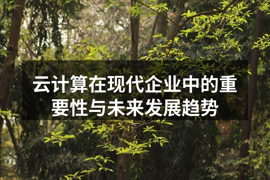云计算在现代企业中的重要性与未来发展趋势