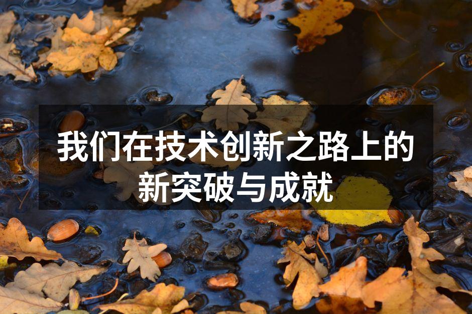 我们在技术创新之路上的新突破与成就