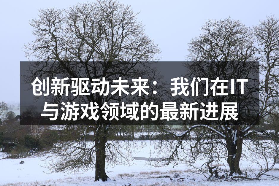创新驱动未来:我们在IT与游戏领域的最新